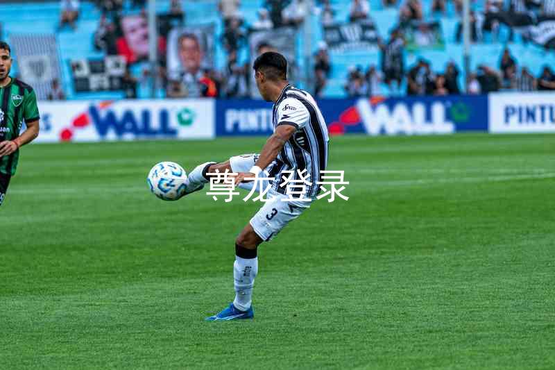 尊龙登录