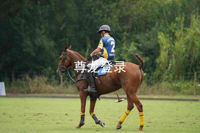 尊龙登录