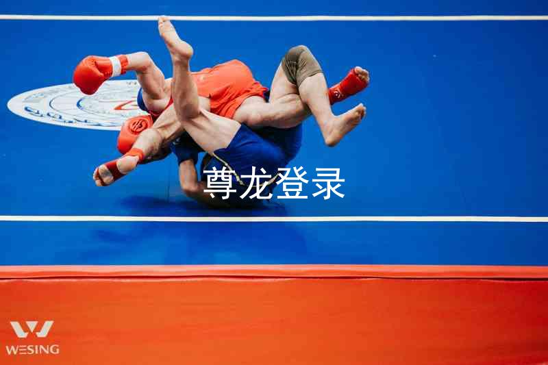 尊龙登录